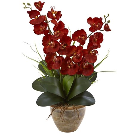 DARE2DECOR Seasonal Double Phalaenopsis Orchid Arrangement; Autumn DA857841